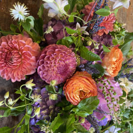 Bouquet of pink, orange, and purple flowers with white blooms