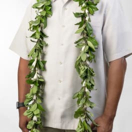 Long green leaf lei with small white blossoms worn around a person's neck