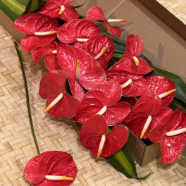 Loose red tropical flowers with pale centers packed in a shallow box on a woven mat.