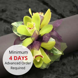 Mini Cymbidium Orchid Wristlet