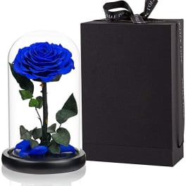 Blue rose under a glass dome beside a black gift box