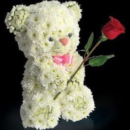 White flower teddy bear holding a red rose