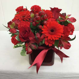 Compact arrangement of red roses, gerbera daisies, carnations, and alstroemeria in a red cube vase with ribbon.