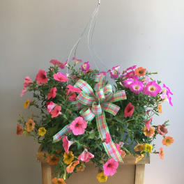 Hanging basket of pink, orange, and yellow petunias with a plaid ribbon bow