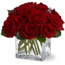 Red roses arranged in a clear square glass vase