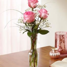 Pink roses arranged in a clear glass vase with baby's breath