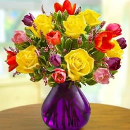 Colorful bouquet of roses and tulips in a purple vase