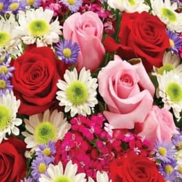 Close-up bouquet of red and pink roses with white daisies and purple flowers