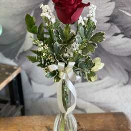 Single red rose in a clear glass vase with white ribbon and small white filler flowers