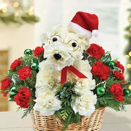 White teddy bear in a Santa hat surrounded by red flowers in a basket