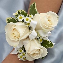 Cream rose wrist corsage with small white daisies and ribbon