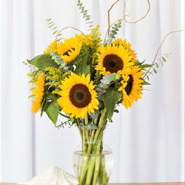 Tall bouquet of bright yellow sunflowers in a clear glass vase on a wooden surface.