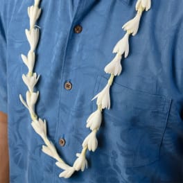 White floral lei worn over a blue patterned shirt