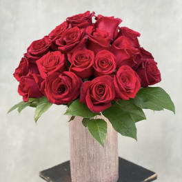 Bouquet of red roses in a tall pink vase with green leaves