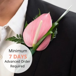Pink anthurium boutonniere with decorative grass pinned to a black suit jacket.