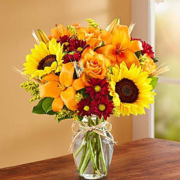 Bouquet of sunflowers, orange lilies, and red daisies in a glass vase