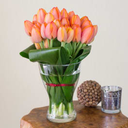 Pink tulips in a clear glass vase with broad leaves