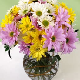 Bouquet of pink, yellow, and white daisies in a glass vase
