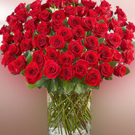 Large bouquet of red roses in a clear glass vase