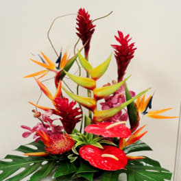 Tropical floral arrangement with red anthuriums and bird of paradise blooms