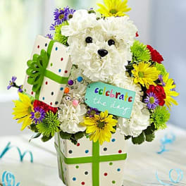 White teddy bear floral arrangement with colorful daisies and a gift box