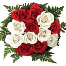 Red and white roses arranged in a round bouquet