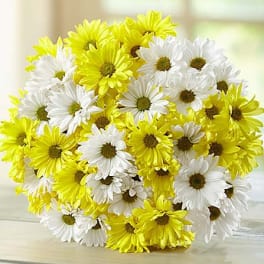 Bouquet of yellow and white daisy flowers