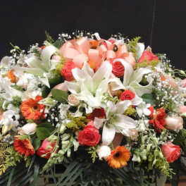 peach and white casket (FC2)