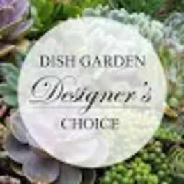 White floral arrangement with a round sign reading "Dish Garden Designer's Choice"
