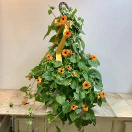 Black-eyed Susan Hanging Basket