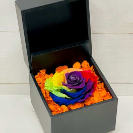 Black gift box holding a rainbow-colored rose surrounded by bright orange petals