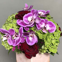 Bouquet of purple orchids and red roses with bright green hydrangeas