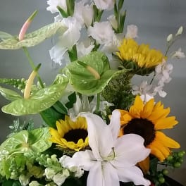 Mixed floral arrangement with sunflowers, white lilies, and green anthuriums in a vase