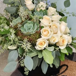 Cream roses and succulents arranged in a black container