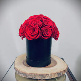 Dome of red roses arranged in a black cylinder box on a wood slice base
