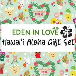 Graphic banner for an Eden in Love Hawai'i Aloha Gift Set with cute cartoon flowers and smiling characters on mint green.