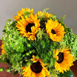 Bouquet of sunflowers and green hydrangeas