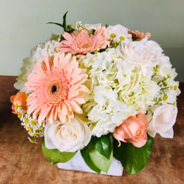 Peach gerbera daisies and white roses in a white container