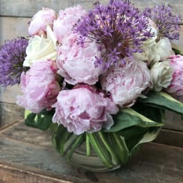 Pink peonies and purple allium in a glass vase