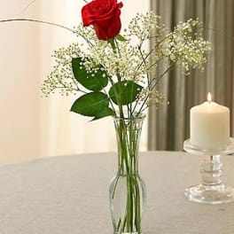 Single red rose in a glass vase with baby's breath and a lit candle