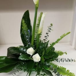 White calla lilies and roses in a low green arrangement