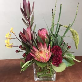 Tropical floral arrangement in a clear square vase with pink protea and burgundy blooms