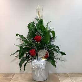 White peace lily arrangement with red roses in a white pot