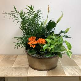 Potted arrangement of green houseplants with orange flowers in a round container