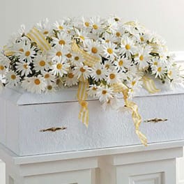 White daisy arrangement in a white casket with yellow ribbon