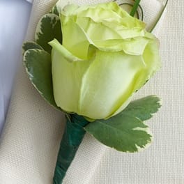 Single pale green rose boutonniere with variegated leaves