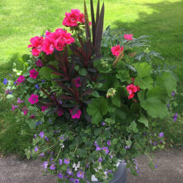 Spring Splash Planter