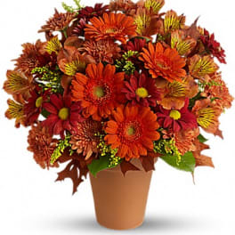 Orange and red mixed flower arrangement in a terracotta pot