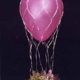 Pink balloon above a small potted plant with ribbon streamers