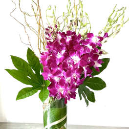 Purple orchids in a tall glass vase with large green leaves